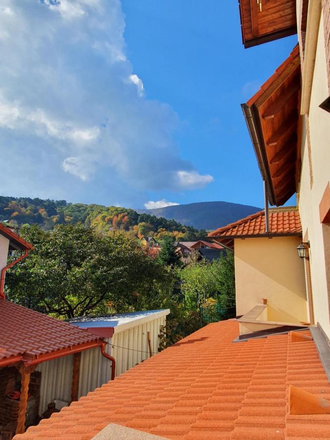 Apartament La Casa In Curte Comuna Appartamento Codlea Esterno foto