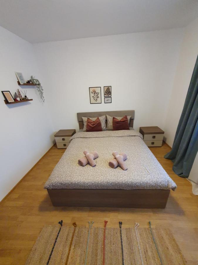 Apartament La Casa In Curte Comuna Appartamento Codlea Esterno foto