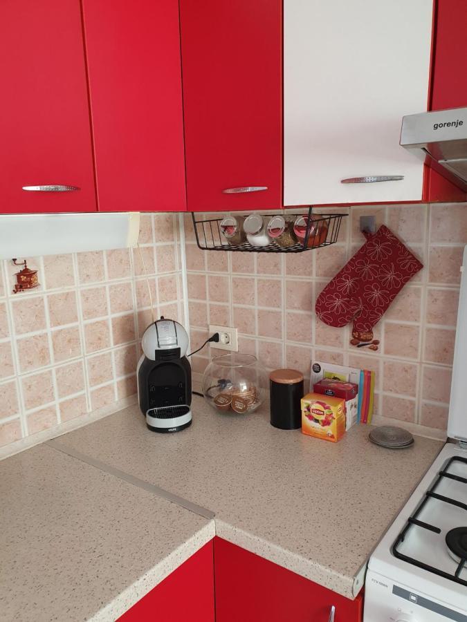 Apartament La Casa In Curte Comuna Appartamento Codlea Esterno foto